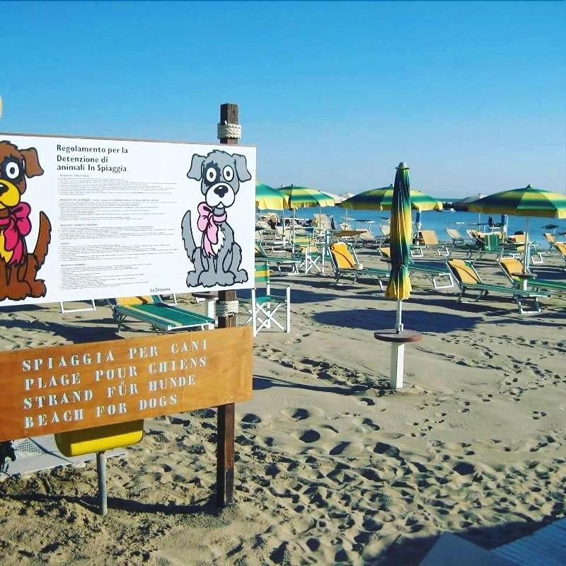 Hotel Alsen Rimini Extérieur photo